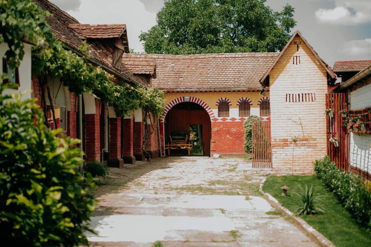 Villa Kuca Za Odmor "Sokacka Lady" Zupanja Exterior foto